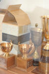 Award Cups