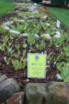 Gardens 03