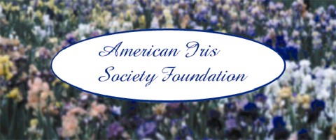 AISF Header